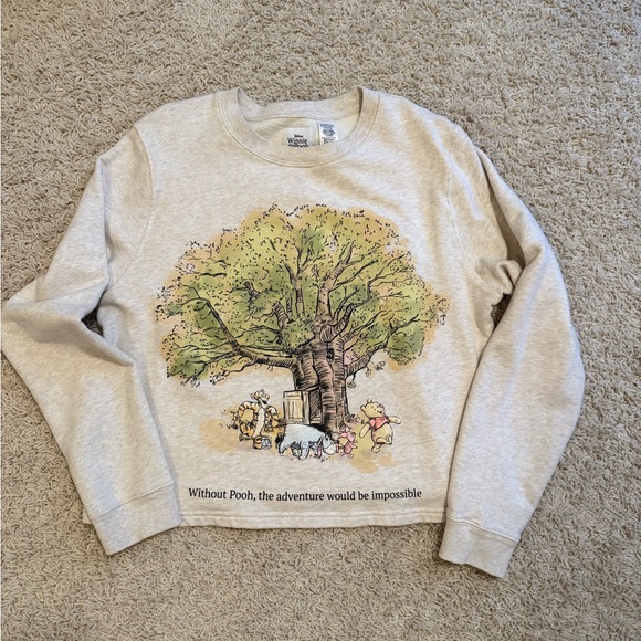 Winnie-the-Pooh Tops - Disney Winnie the Pooh Gray Sweatshirt